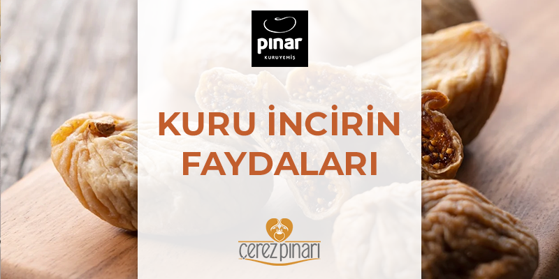 Kuru İncir Faydaları