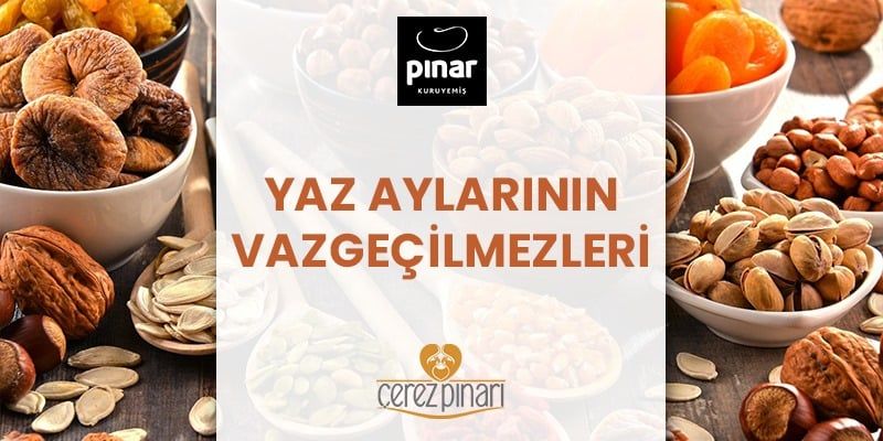 Yaz Aylarında En Çok Tüketilen Kuruyemiş Çeşitleri