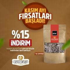 Kasım Ayı İndirmli Ay Çekirdeği