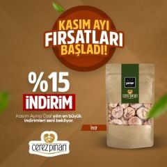 Kasım Ayı İndirmli Dalkurusu İnciri