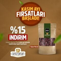 Kasım Ayı İndirmli Yaban Mersini