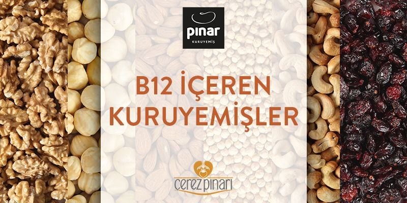B12 İçeren Kuruyemişler