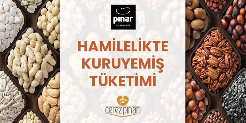 Hamilelikte Kuruyemiş Tüketimi