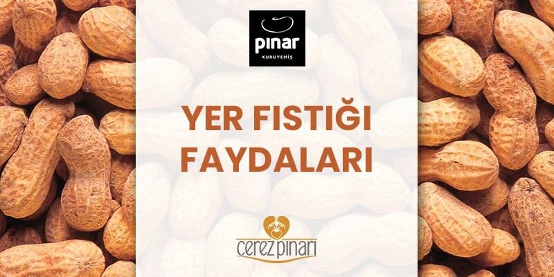 Yer Fıstığı Faydaları
